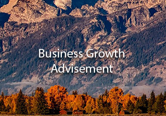 Business Growth Advisement